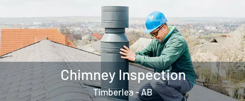  Chimney Inspection Timberlea - AB