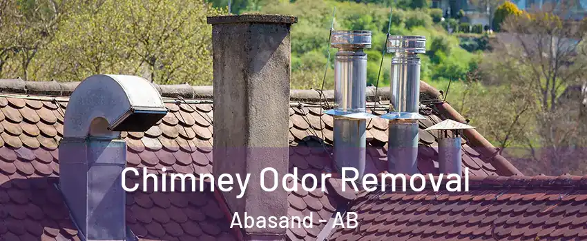  Chimney Odor Removal Abasand - AB