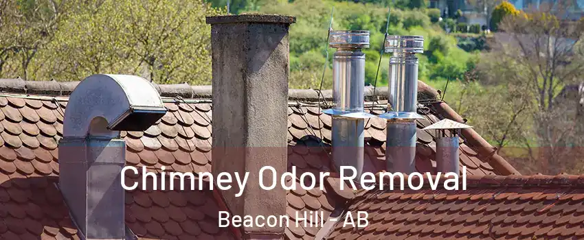  Chimney Odor Removal Beacon Hill - AB