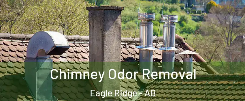  Chimney Odor Removal Eagle Ridge - AB
