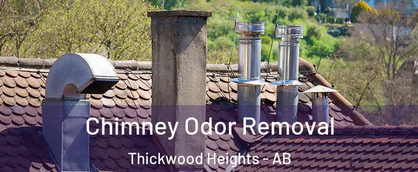  Chimney Odor Removal Thickwood Heights - AB