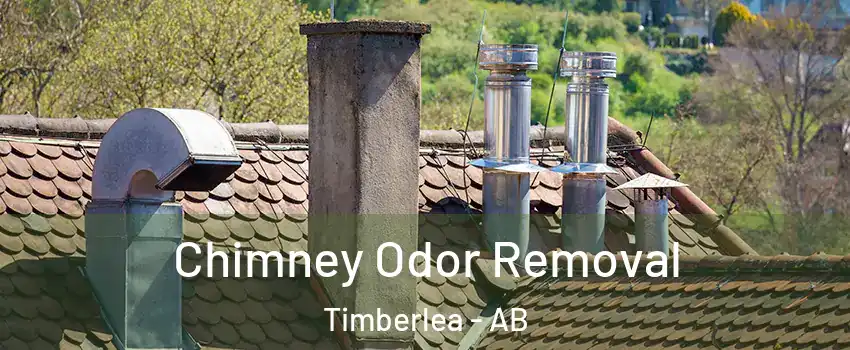  Chimney Odor Removal Timberlea - AB