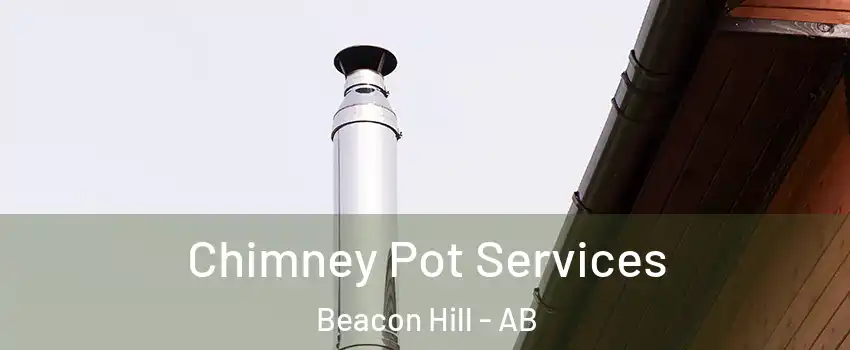  Chimney Pot Services Beacon Hill - AB