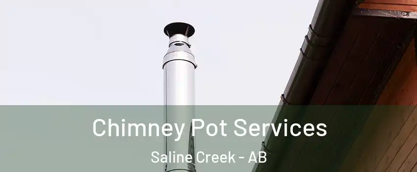 Chimney Pot Services Saline Creek - AB