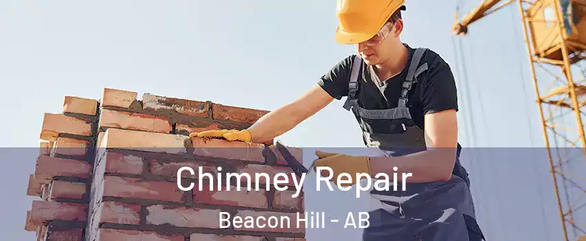  Chimney Repair Beacon Hill - AB