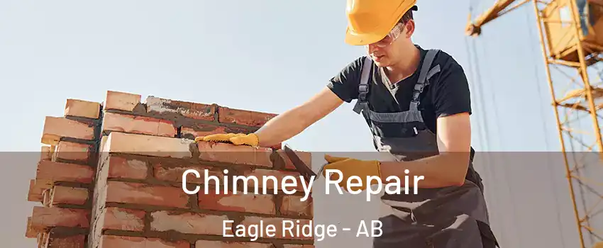  Chimney Repair Eagle Ridge - AB