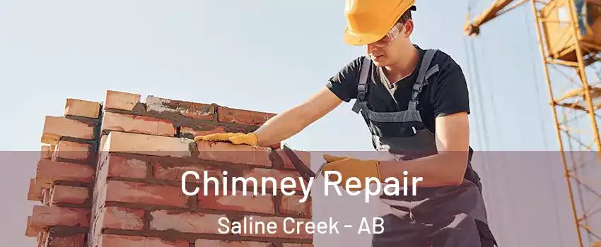  Chimney Repair Saline Creek - AB