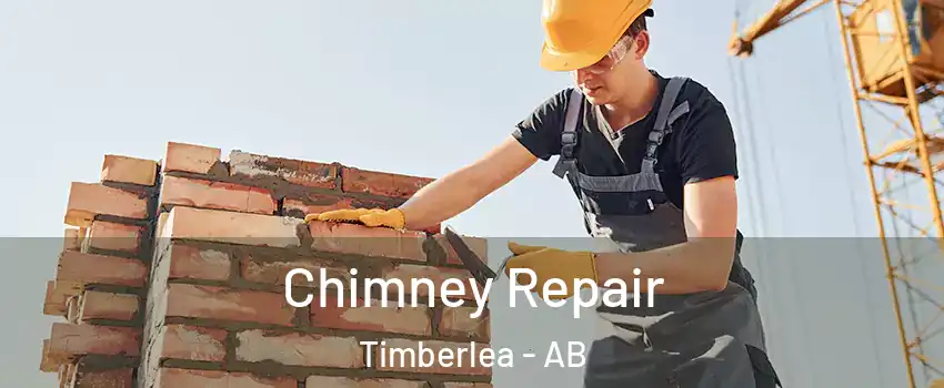  Chimney Repair Timberlea - AB