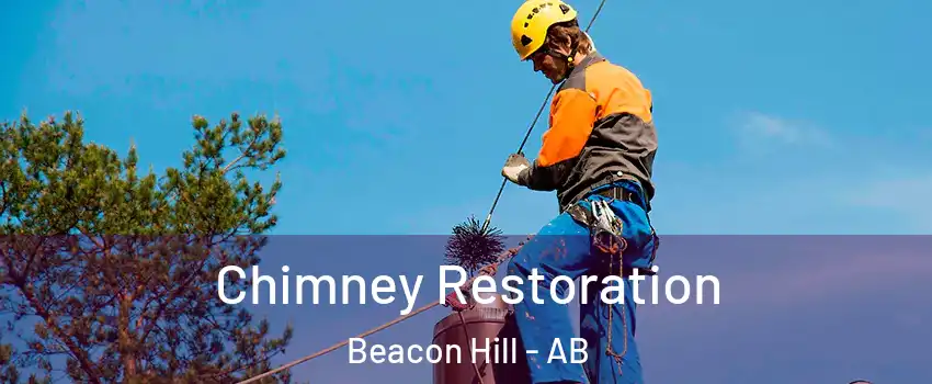  Chimney Restoration Beacon Hill - AB