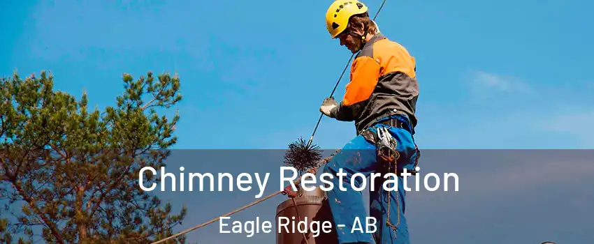  Chimney Restoration Eagle Ridge - AB