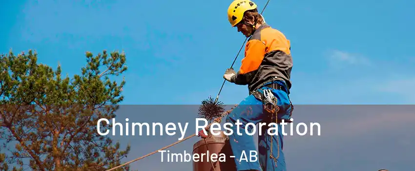  Chimney Restoration Timberlea - AB