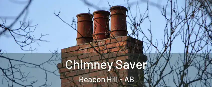  Chimney Saver Beacon Hill - AB