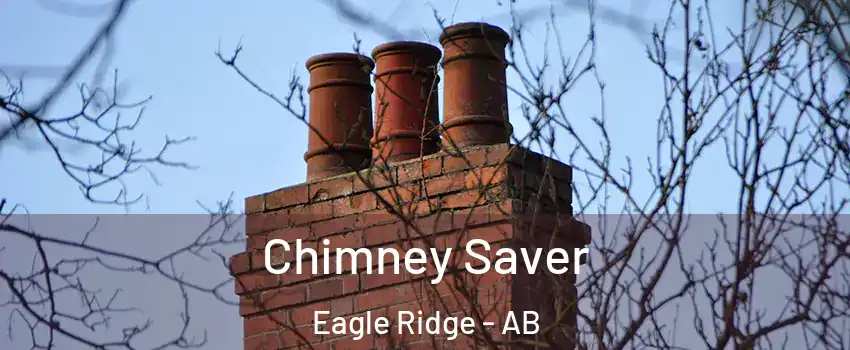  Chimney Saver Eagle Ridge - AB