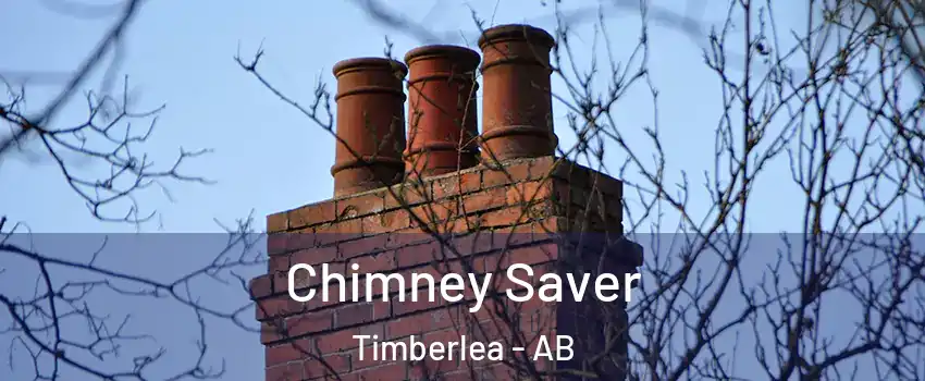 Chimney Saver Timberlea - AB