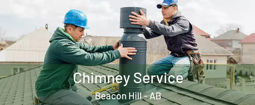  Chimney Service Beacon Hill - AB
