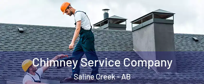  Chimney Service Company Saline Creek - AB