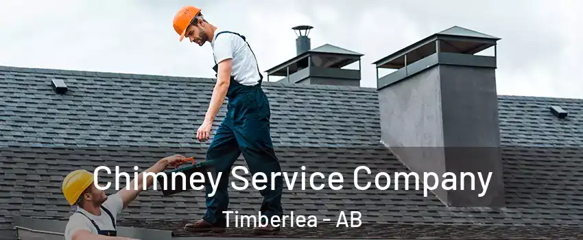  Chimney Service Company Timberlea - AB
