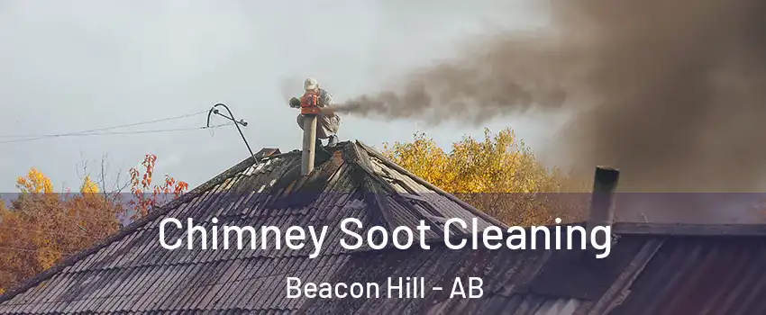  Chimney Soot Cleaning Beacon Hill - AB