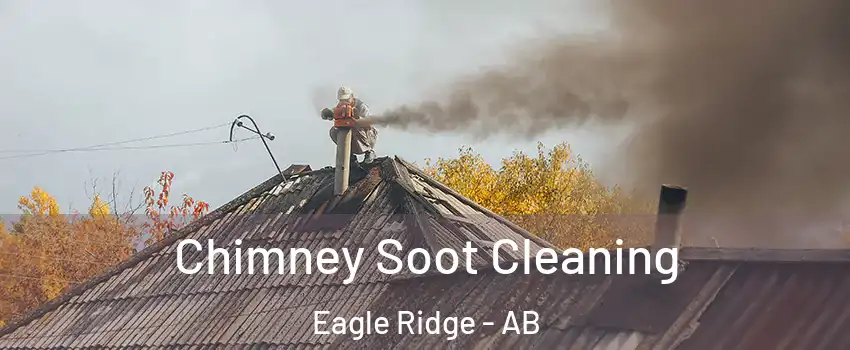  Chimney Soot Cleaning Eagle Ridge - AB
