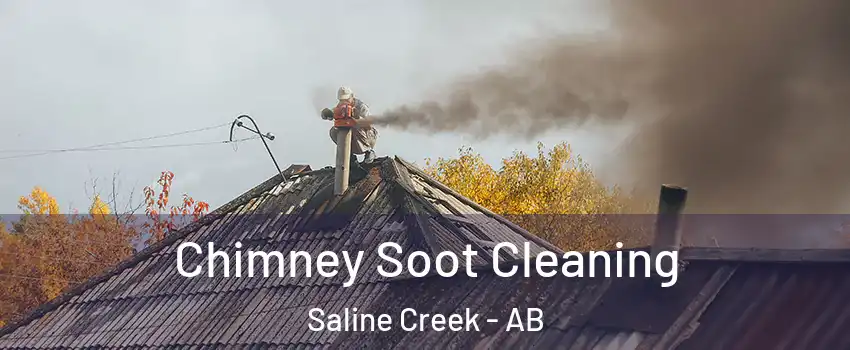  Chimney Soot Cleaning Saline Creek - AB
