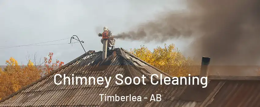  Chimney Soot Cleaning Timberlea - AB