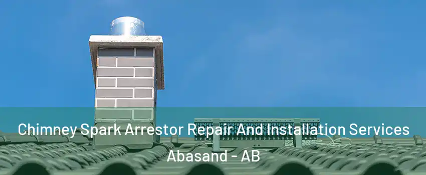  Chimney Spark Arrestor Repair And Installation Services Abasand - AB