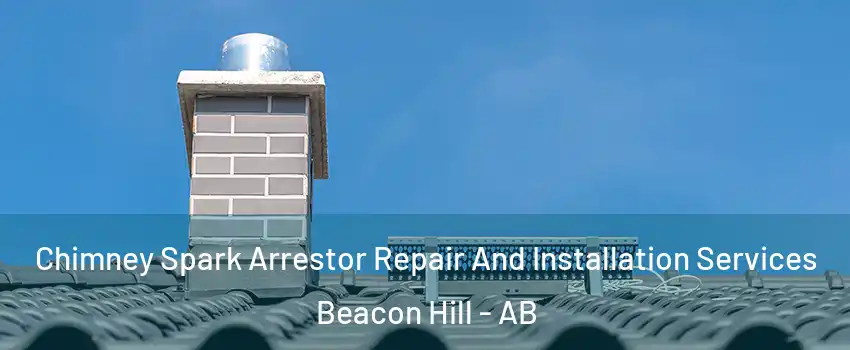  Chimney Spark Arrestor Repair And Installation Services Beacon Hill - AB
