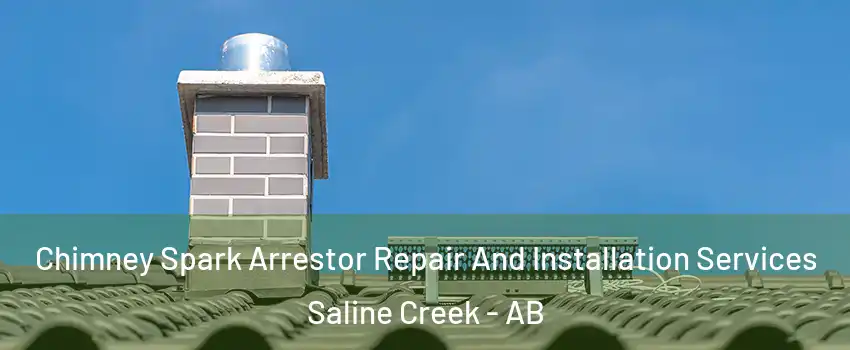  Chimney Spark Arrestor Repair And Installation Services Saline Creek - AB