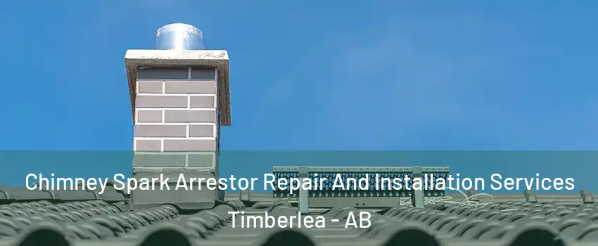  Chimney Spark Arrestor Repair And Installation Services Timberlea - AB