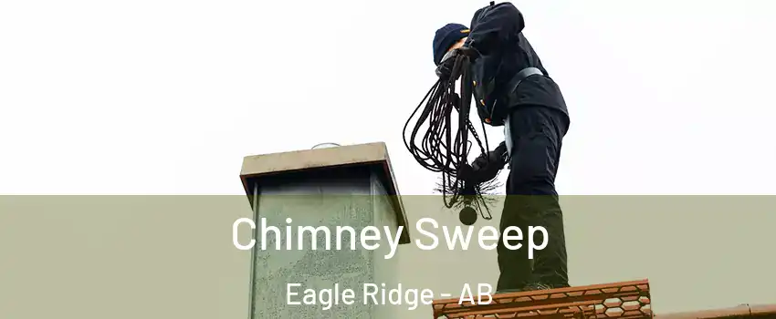 Chimney Sweep Eagle Ridge - AB