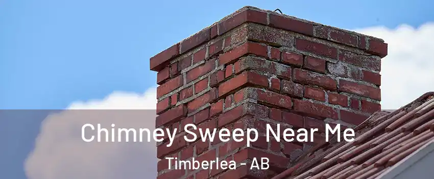  Chimney Sweep Near Me Timberlea - AB