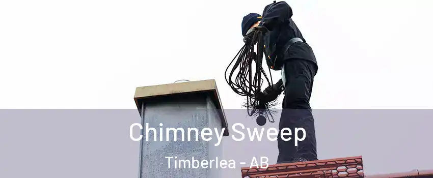  Chimney Sweep Timberlea - AB