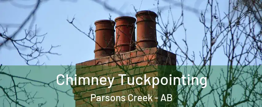  Chimney Tuckpointing Parsons Creek - AB