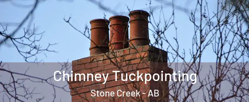  Chimney Tuckpointing Stone Creek - AB