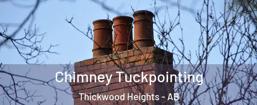  Chimney Tuckpointing Thickwood Heights - AB
