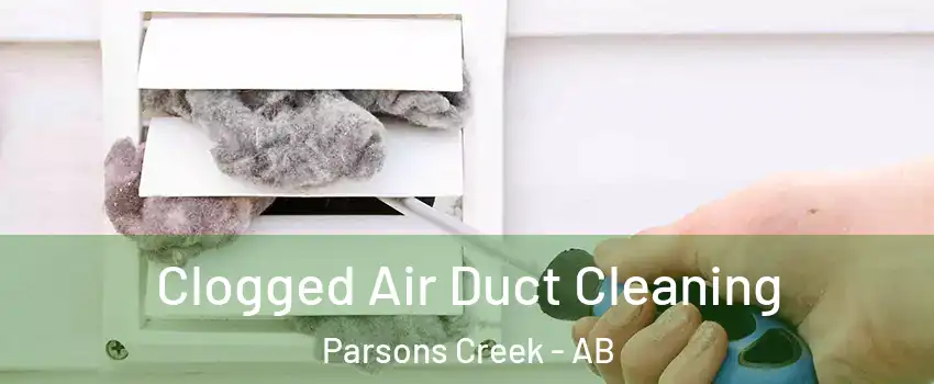  Clogged Air Duct Cleaning Parsons Creek - AB