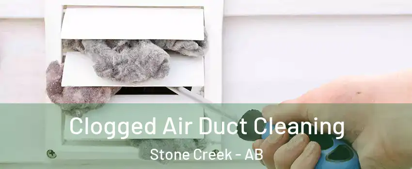  Clogged Air Duct Cleaning Stone Creek - AB