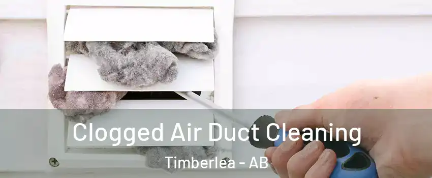  Clogged Air Duct Cleaning Timberlea - AB