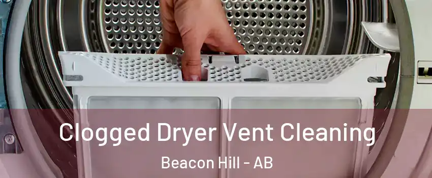  Clogged Dryer Vent Cleaning Beacon Hill - AB