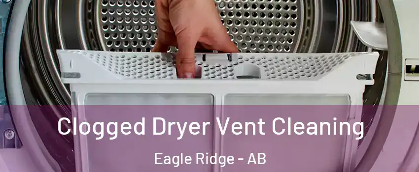  Clogged Dryer Vent Cleaning Eagle Ridge - AB