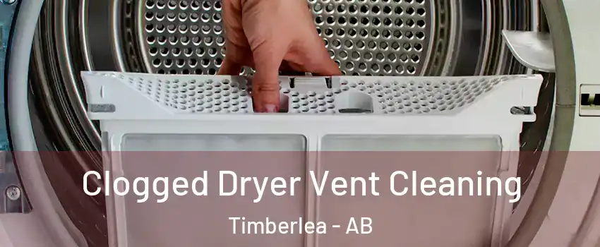  Clogged Dryer Vent Cleaning Timberlea - AB