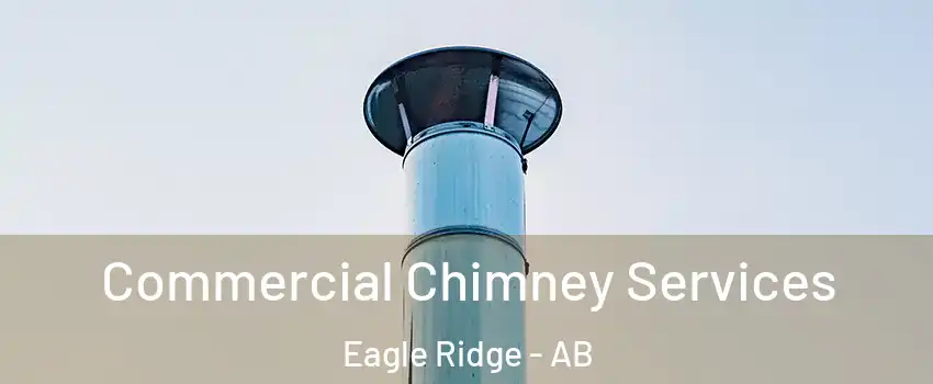  Commercial Chimney Services Eagle Ridge - AB