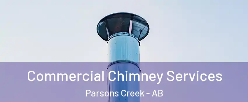  Commercial Chimney Services Parsons Creek - AB