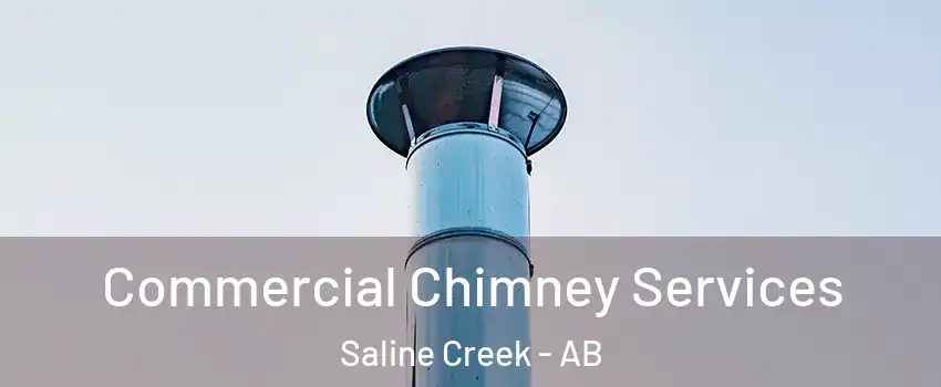  Commercial Chimney Services Saline Creek - AB