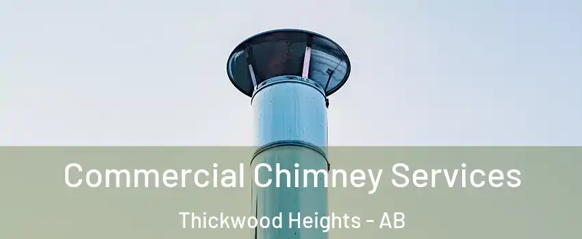  Commercial Chimney Services Thickwood Heights - AB