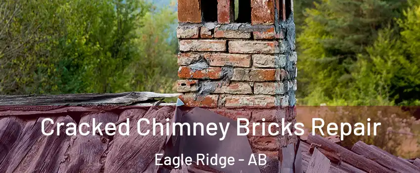  Cracked Chimney Bricks Repair Eagle Ridge - AB