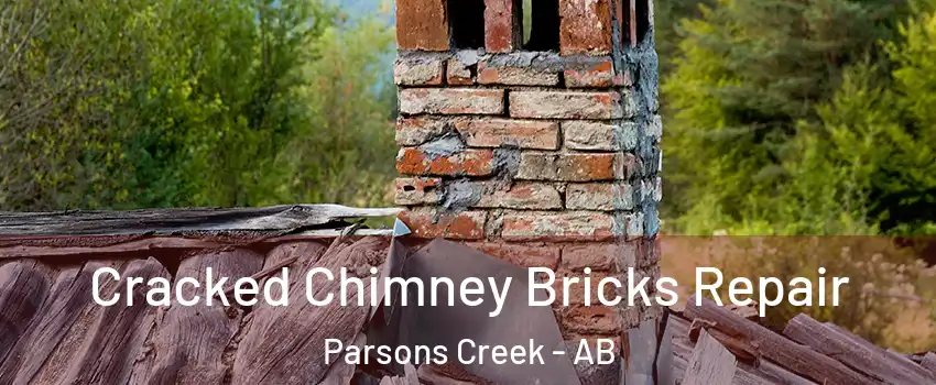  Cracked Chimney Bricks Repair Parsons Creek - AB