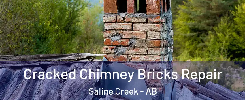  Cracked Chimney Bricks Repair Saline Creek - AB