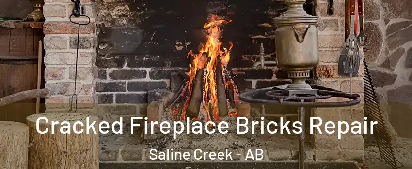 Cracked Fireplace Bricks Repair Saline Creek - AB