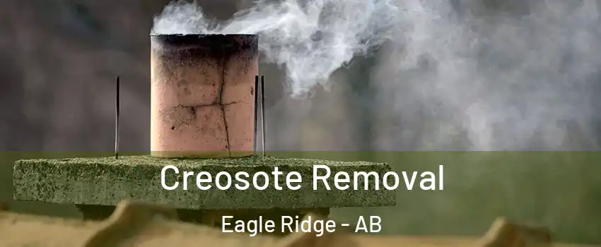  Creosote Removal Eagle Ridge - AB